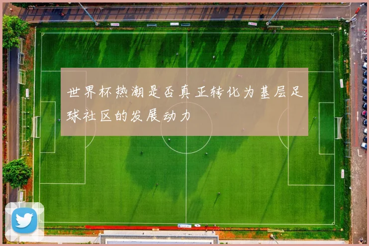 世界杯热潮是否真正转化为基层足球社区的发展动力