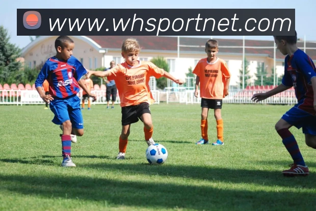 威廉希尔体育服务体系