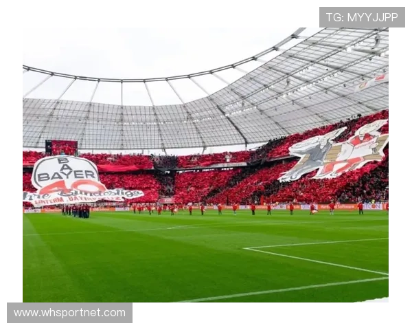 德甲球队球馆名称大全及球场特色介绍 德甲球队球馆名称大全及球场特色介绍