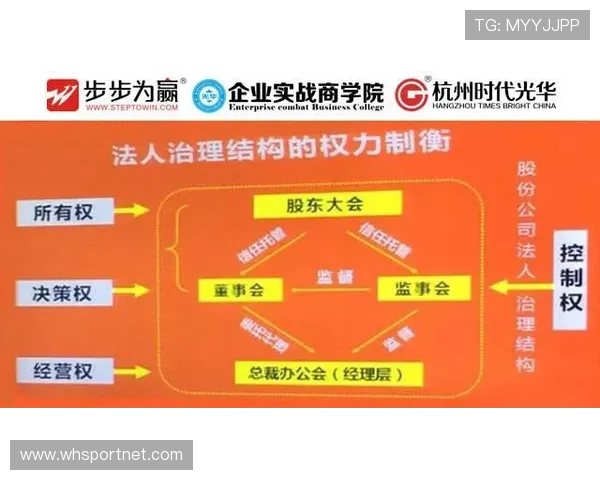 德甲球队股东与股权结构探讨
